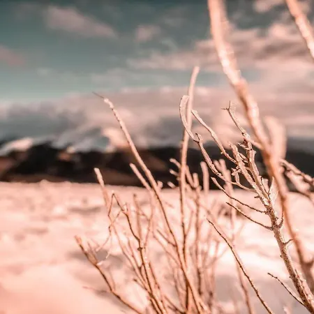 The Little Mountain 롯지 Borlova