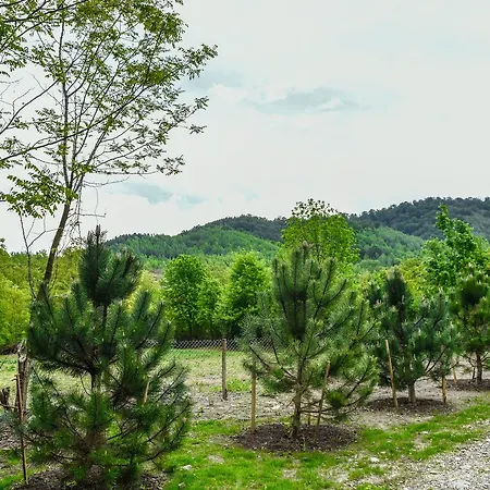 The Little Mountain 롯지 Borlova