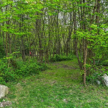 The Little Mountain